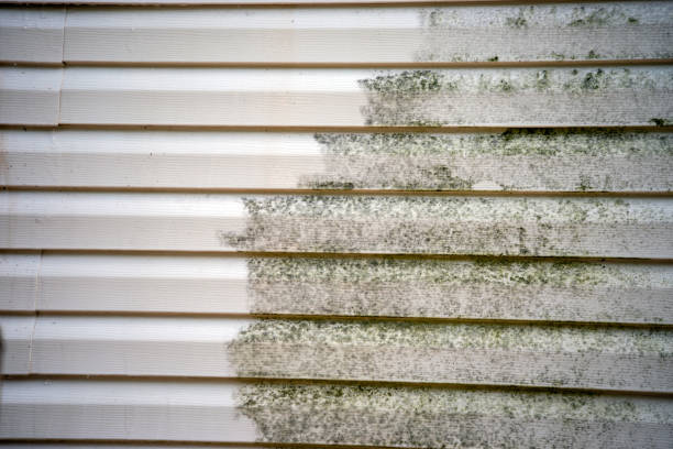 Best Same-Day Junk Removal Services  in Culver, IN
