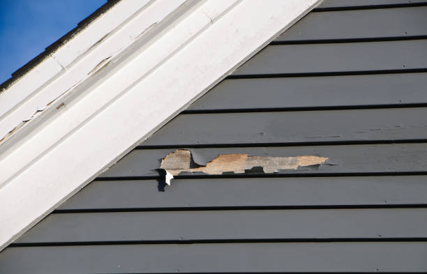 Best Property Management Cleanouts  in Culver, IN